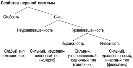 Иллюстрация к книге — Психология индивидуальных различий [autogen_ebook_id13.jpg]