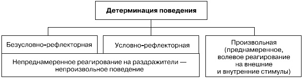 Иллюстрация к книге — Психология воли [autogen_ebook_id0.jpg]