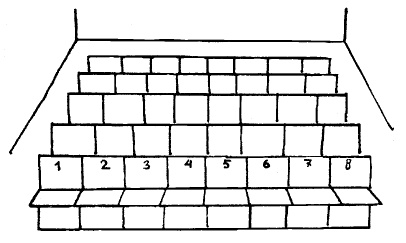 Иллюстрация к книге — Пол и гендер [autogen_ebook_id239.jpg]