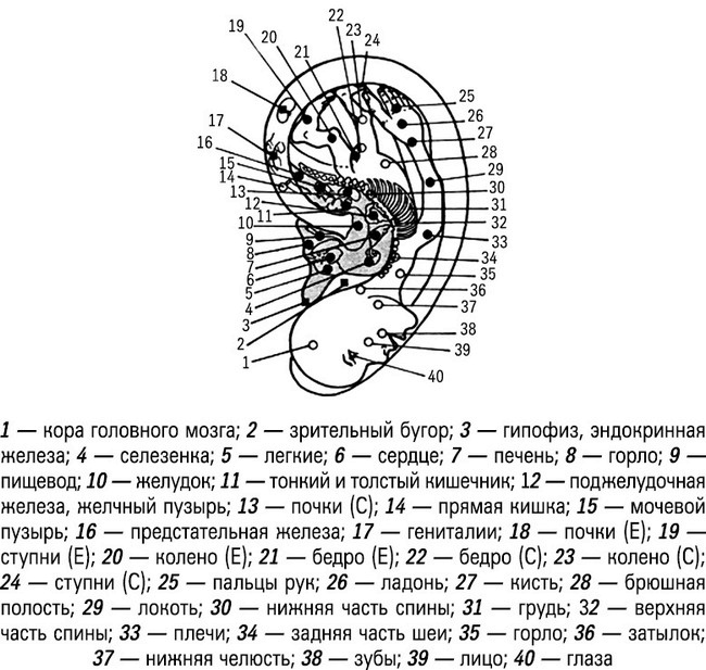 Иллюстрация к книге — Формула Бога. Как работают системные расстановки и Единое информационное поле Вселенной [i_010.jpg]