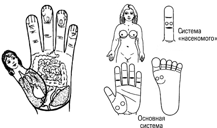 Иллюстрация к книге — Формула Бога. Как работают системные расстановки и Единое информационное поле Вселенной [i_012.jpg]