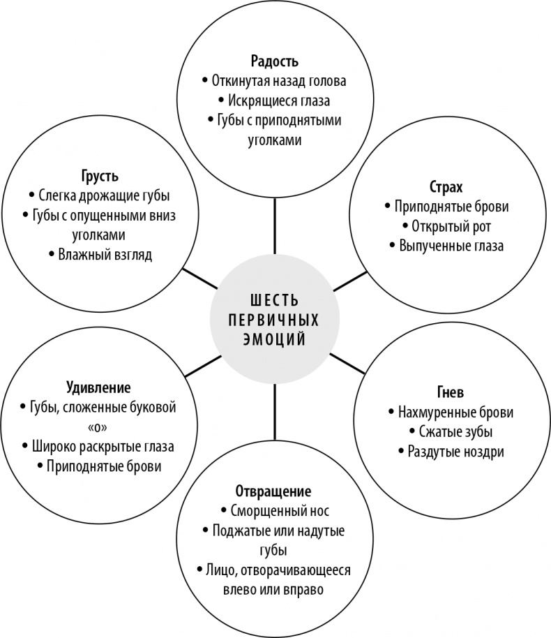 Иллюстрация к книге — 50 упражнений, чтобы изучить язык жестов [i_022.jpg]