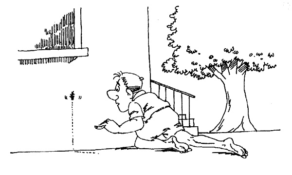 Иллюстрация к книге — Как быть счастливым всегда. 128 советов, которые избавят вас от стресса и тревоги [img_063.jpg]