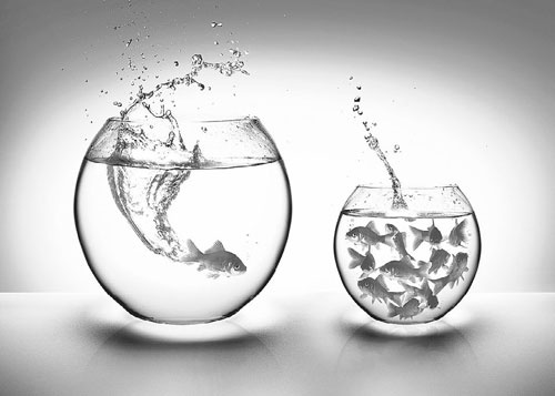 Иллюстрация к книге — Манипулирование людьми [i_003.jpg]