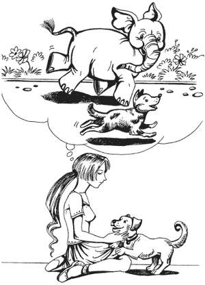 Иллюстрация к книге — Психология победы. Секреты подготовки олимпийских чемпионов [i_008.jpg]