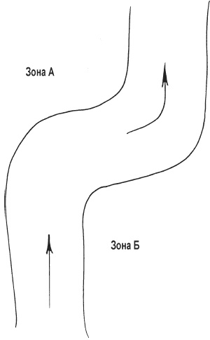 Иллюстрация к книге — Психология победы. Секреты подготовки олимпийских чемпионов [i_016.jpg]