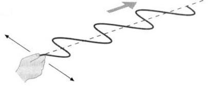 Иллюстрация к книге — Гюйгенс. Волновая теория света. В погоне за лучом [img_61.jpg]