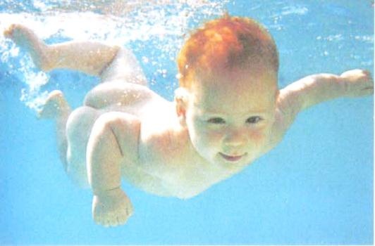 Иллюстрация к книге — Библия языка телодвижений [_124.jpg]