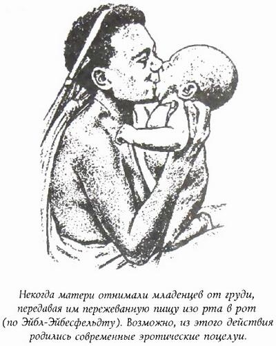 Иллюстрация к книге — Библия языка телодвижений [_29.jpg]