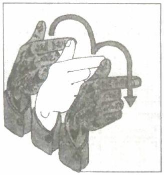 Иллюстрация к книге — Библия языка телодвижений [_37.jpg]