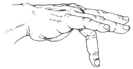 Иллюстрация к книге — Библия языка телодвижений [_66.jpg]