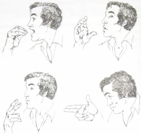 Иллюстрация к книге — Библия языка телодвижений [_8.jpg]