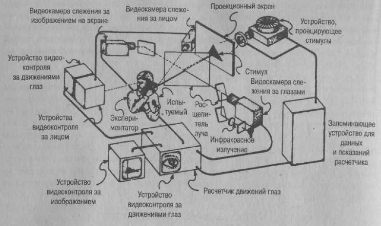 Иллюстрация к книге — Психология развития. Методы исследования [img_24.jpg]