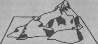 Иллюстрация к книге — Психология развития. Методы исследования [img_30.jpg]