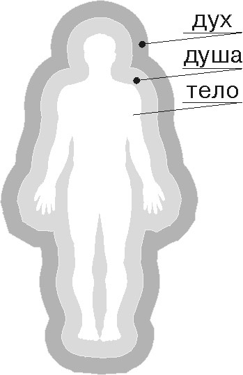 Иллюстрация к книге — Катарсис-1. Подноготная любви. Психоаналитическая эпопея [p385.jpg]