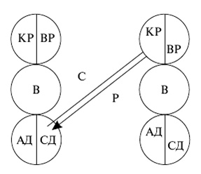 Иллюстрация к книге — Психология поведения жертвы [autogen_ebook_id8.jpg]