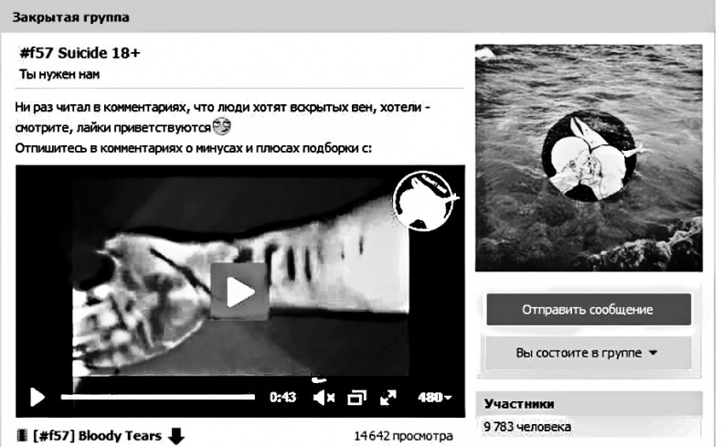 Иллюстрация к книге — Дети в сети. Шлем безопасности ребенку в интернете [i_042.jpg]