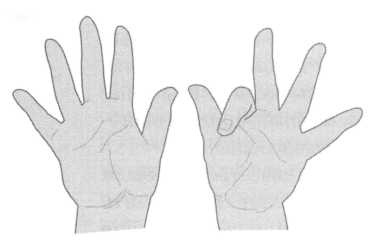 Иллюстрация к книге — Лейбниц. Анализ бесконечно малых [img_13.jpg]