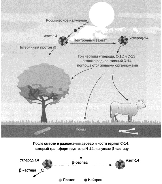 Иллюстрация к книге — Мария Кюри. Радиоактивность и элементы [i_021.jpg]
