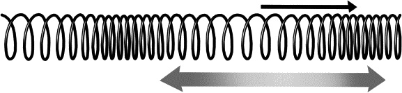 Иллюстрация к книге — Физика на пальцах. Для детей и родителей, которые хотят объяснять детям [i_045.jpg]
