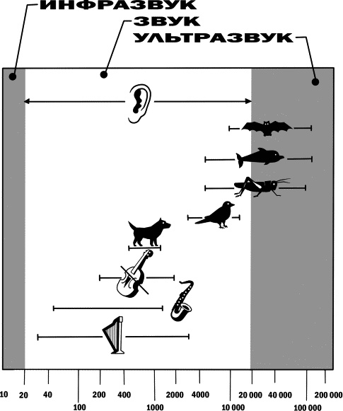 Иллюстрация к книге — Физика на пальцах. Для детей и родителей, которые хотят объяснять детям [i_052.jpg]