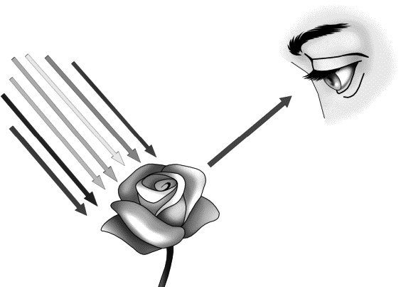 Иллюстрация к книге — Физика на пальцах. Для детей и родителей, которые хотят объяснять детям [i_065.jpg]