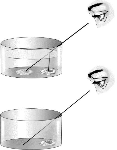 Иллюстрация к книге — Физика на пальцах. Для детей и родителей, которые хотят объяснять детям [i_066.jpg]