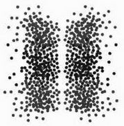 Иллюстрация к книге — На волне Вселенной. Шрёдингер. Квантовые парадоксы [img_103.jpg]