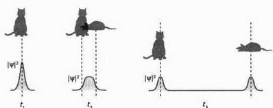 Иллюстрация к книге — На волне Вселенной. Шрёдингер. Квантовые парадоксы [img_126.jpg]