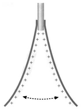 Иллюстрация к книге — Лиза Мейтнер. Расщепление ядра [img_19.jpg]