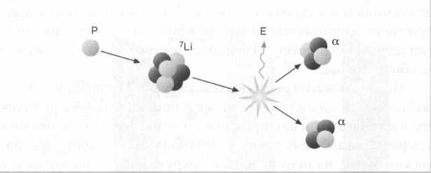 Иллюстрация к книге — Лиза Мейтнер. Расщепление ядра [img_36.jpg]