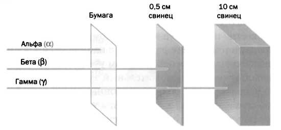 Иллюстрация к книге — Лиза Мейтнер. Расщепление ядра [img_8.jpg]