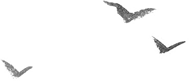 Иллюстрация к книге — Холодная вода Венисаны [i_005.jpg]