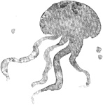 Иллюстрация к книге — Холодная вода Венисаны [i_028.jpg]