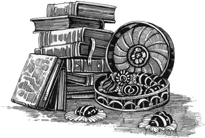 Иллюстрация к книге — Тайна дома с часами [i_002.jpg]