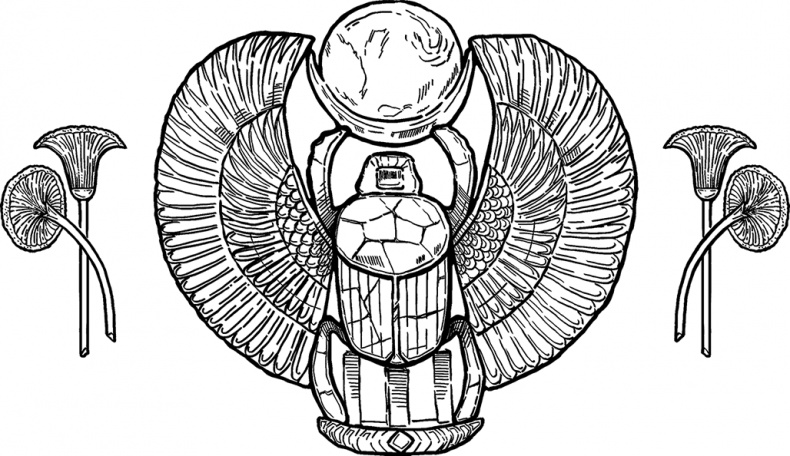 Иллюстрация к книге — Адвокат и его женщины [i_015.jpg]