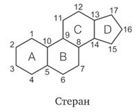 Иллюстрация к книге — Удивительные истории о веществах самых разных. Тайны тех, что составляют землю, воду, воздух... и поэзию [img5d2782a8a1944a4cad7d6f96daa4b3a1.jpg]