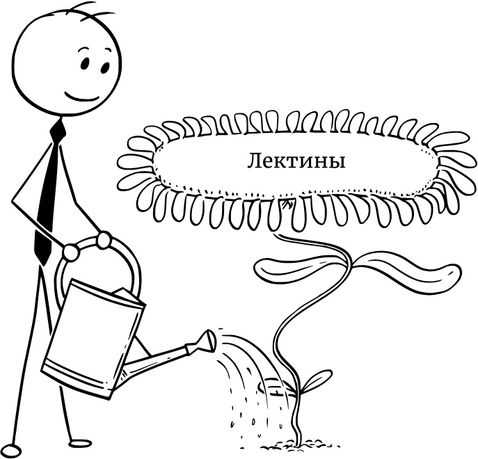 Иллюстрация к книге — Парадокс растений. Скрытые опасности &quot;здоровой&quot; пищи. Как продукты питания убивают нас, лишая здоровья, молодости и красоты [i_006.jpg]