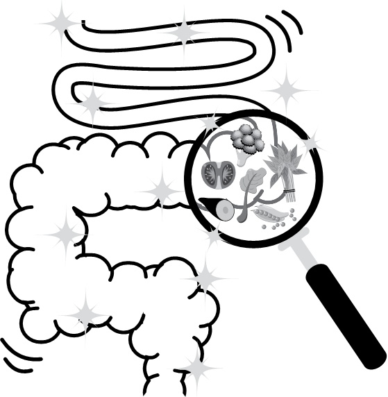 Иллюстрация к книге — Парадокс растений. Скрытые опасности &quot;здоровой&quot; пищи. Как продукты питания убивают нас, лишая здоровья, молодости и красоты [i_013.jpg]