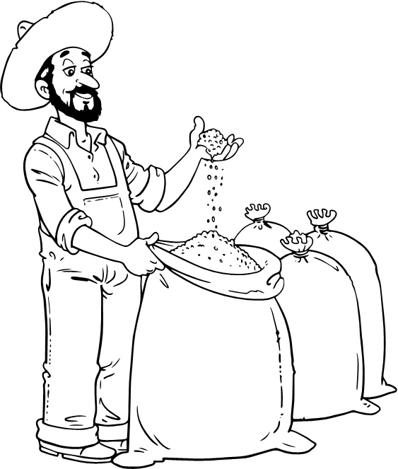 Иллюстрация к книге — Парадокс растений. Скрытые опасности &quot;здоровой&quot; пищи. Как продукты питания убивают нас, лишая здоровья, молодости и красоты [i_063.jpg]