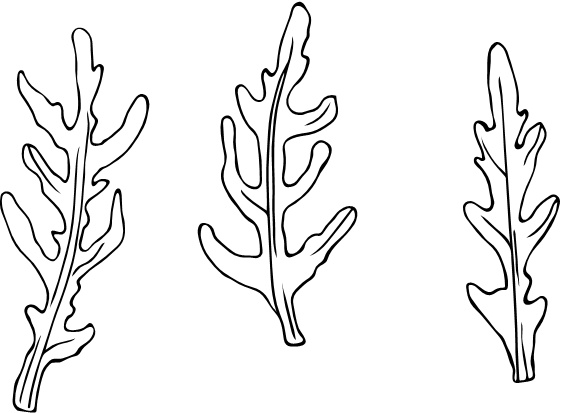 Иллюстрация к книге — Парадокс растений. Скрытые опасности &quot;здоровой&quot; пищи. Как продукты питания убивают нас, лишая здоровья, молодости и красоты [i_118.jpg]