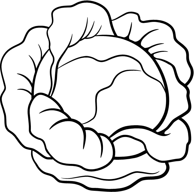 Иллюстрация к книге — Парадокс растений. Скрытые опасности &quot;здоровой&quot; пищи. Как продукты питания убивают нас, лишая здоровья, молодости и красоты [i_123.jpg]