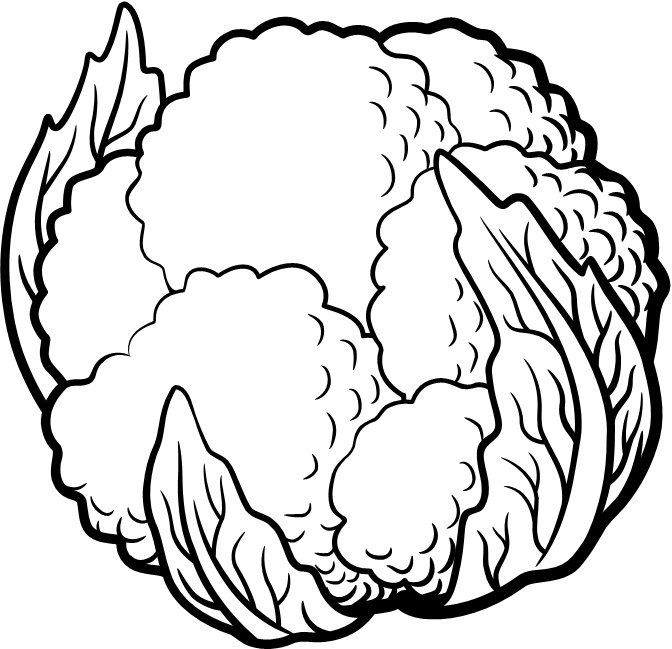 Иллюстрация к книге — Парадокс растений. Скрытые опасности &quot;здоровой&quot; пищи. Как продукты питания убивают нас, лишая здоровья, молодости и красоты [i_124.jpg]