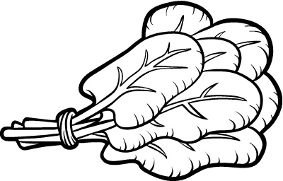 Иллюстрация к книге — Парадокс растений. Скрытые опасности &quot;здоровой&quot; пищи. Как продукты питания убивают нас, лишая здоровья, молодости и красоты [i_136.jpg]