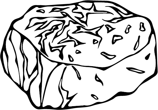 Иллюстрация к книге — Парадокс растений. Скрытые опасности &quot;здоровой&quot; пищи. Как продукты питания убивают нас, лишая здоровья, молодости и красоты [i_145.jpg]