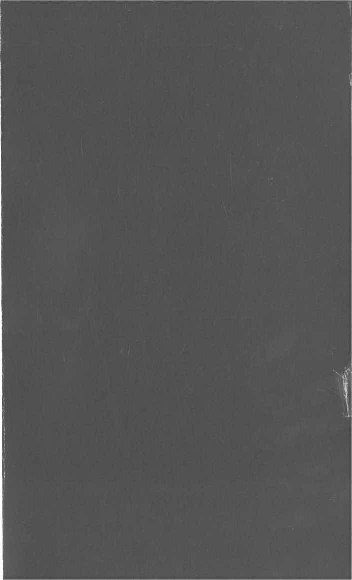 Иллюстрация к книге — История одного немца. Частный человек против тысячелетнего рейха [image4.jpg]