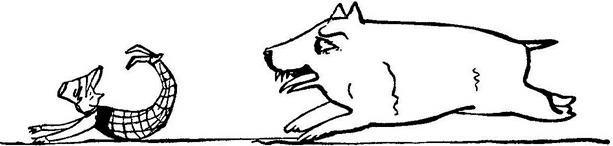 Иллюстрация к книге — Чистый nonsense [_116.jpg]