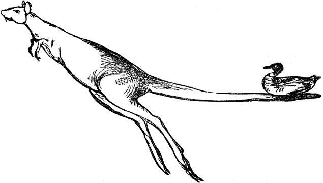 Иллюстрация к книге — Чистый nonsense [_124.jpg]