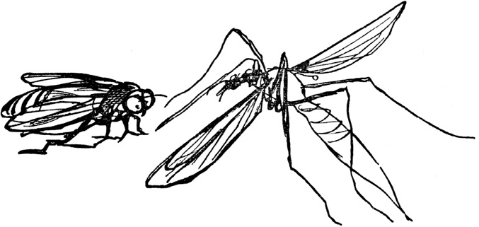 Иллюстрация к книге — Чистый nonsense [_125.jpg]