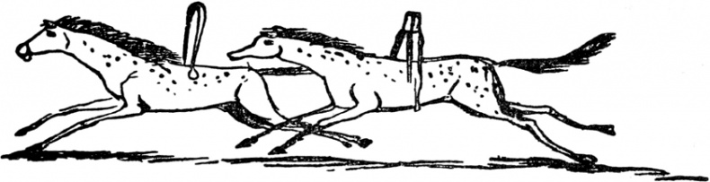 Иллюстрация к книге — Чистый nonsense [_128.jpg]